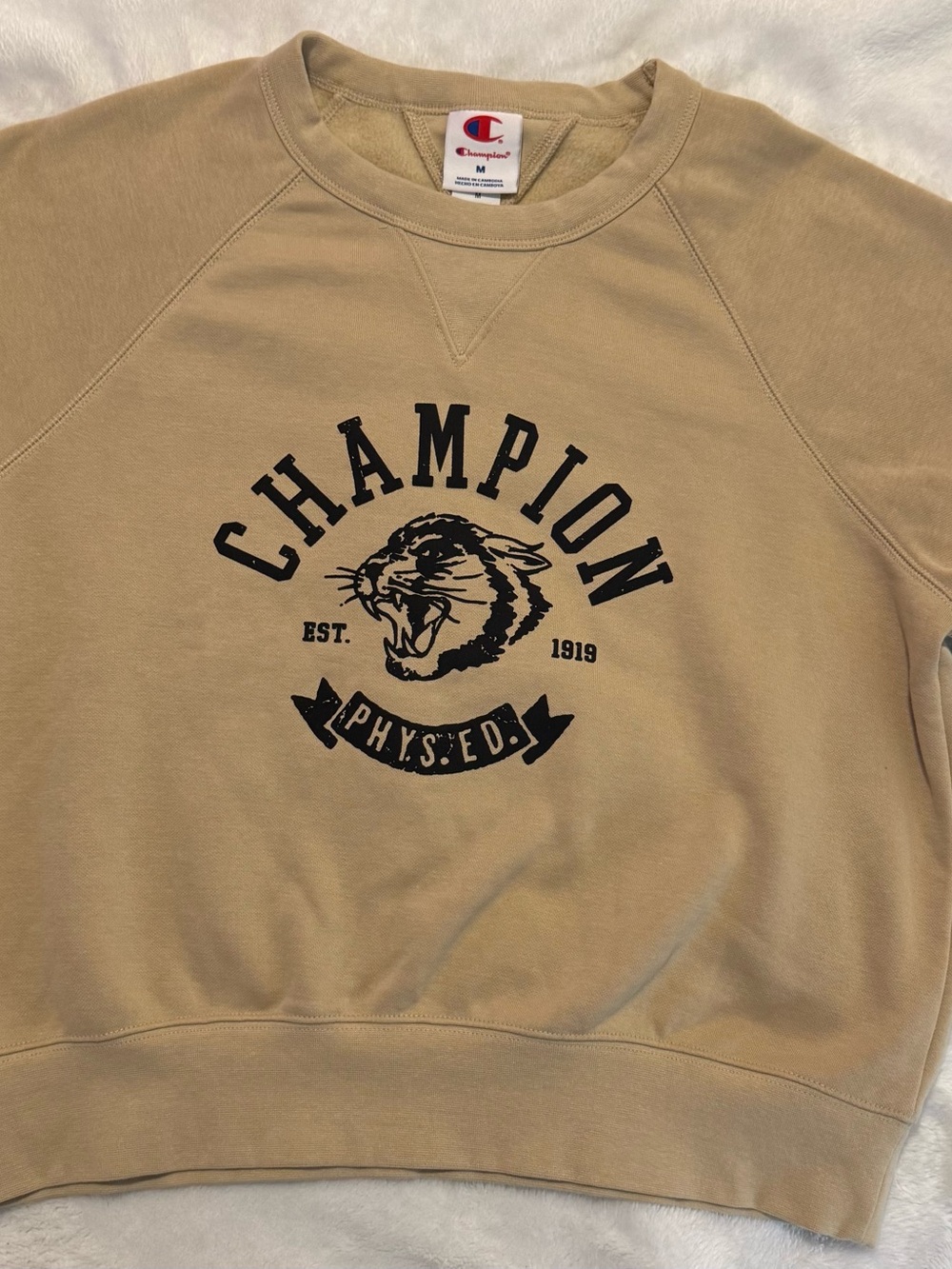Champion Tan Crewneck Sweatshirt with Black Graphic